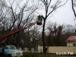 Новости: В Керчи РЭС обрезает деревья на улице Гагарина